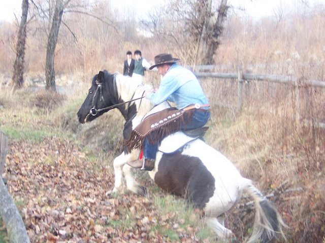 Hubertus 2006